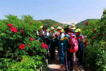 排行榜：定西十大本地玩乐，茶埠农家乐位列第七，采摘草莓不容错过