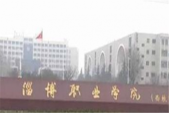滨州职业学院在山东较好的职业学院排行榜中位列第一，淄博职业学院紧随其后。
