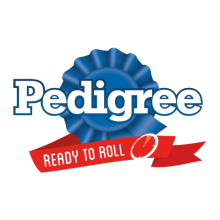 Pedigree 宝路