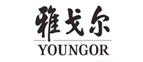 雅戈尔YOUNGOR